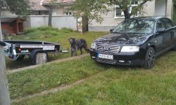 IMAG0065