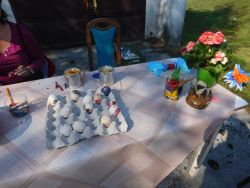 DSCN3672