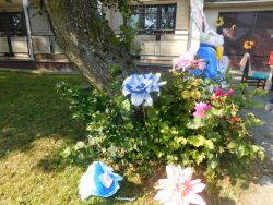 DSCN3679