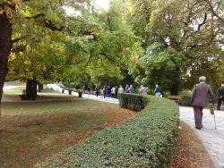 IMG_20170912_094813